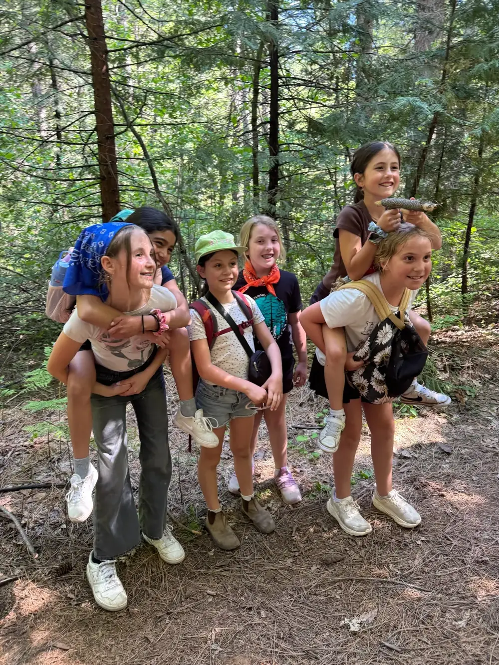 Hike in